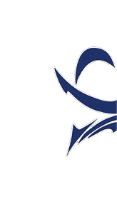 A blue and white logo for Valor. Description generated by AI