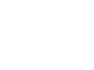 IAN FLORES 