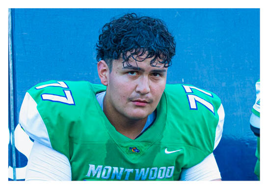 A football player wearing a blue and red jersey. Description generated by AI