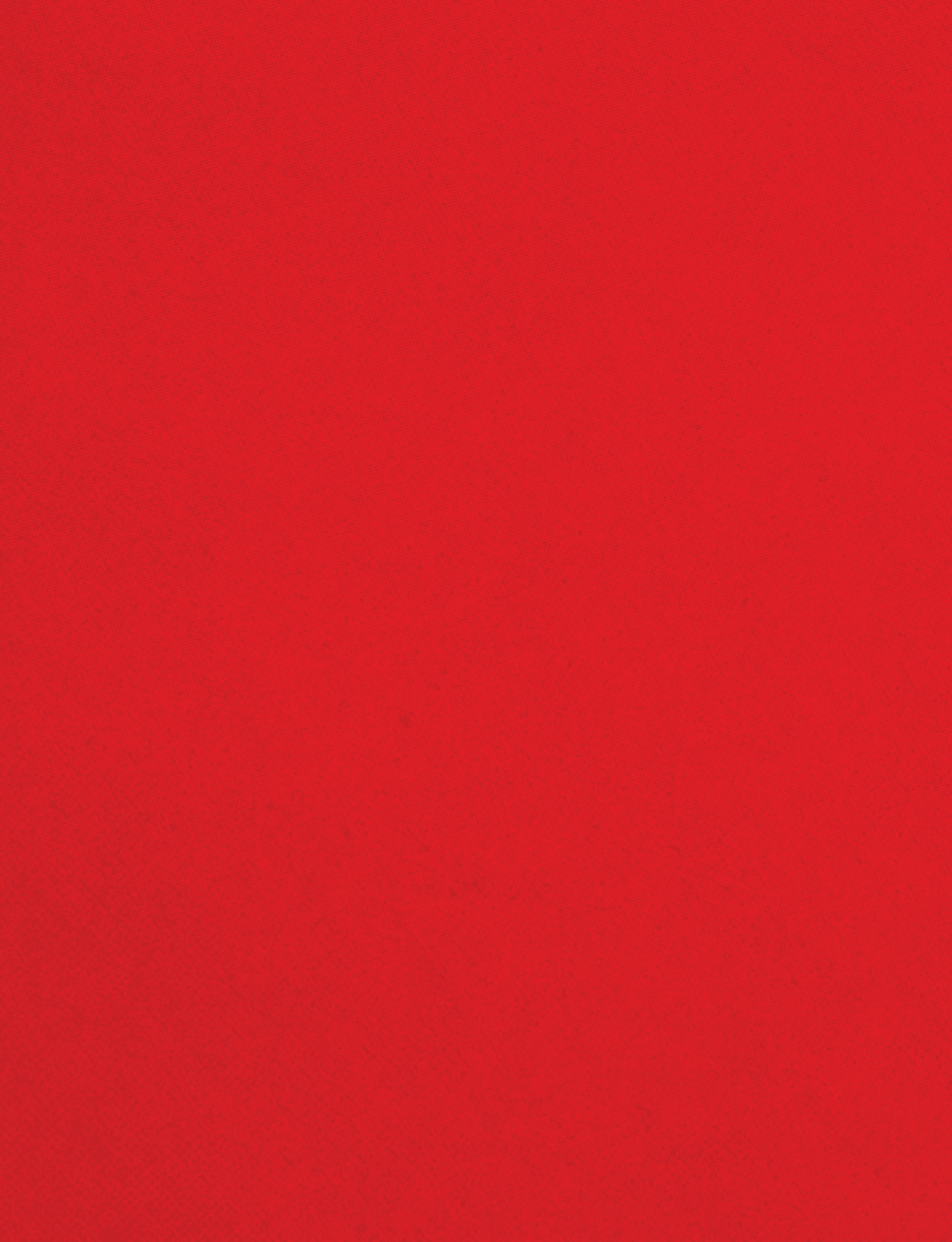 A red cloth with a red border. Description generated by AI