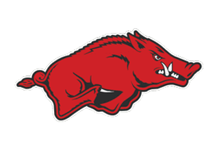 A stylized red wild boar with an aggressive expression and prominent tusks outlined in black and white. Descripci n generada con IA