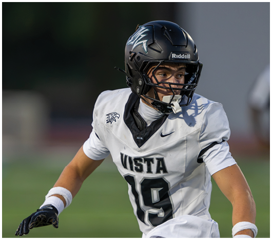 A person wearing a white sports jersey and a helmet is partially visible on the right side against a dark blurred background. Description generated by AI