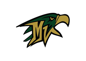 A green and yellow bird with a black beak. Description generated by AI