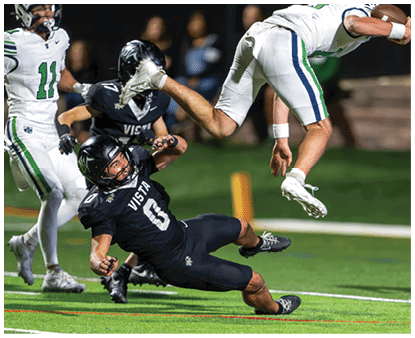 A person in a black football uniform is falling backward while another person in a white uniform leaps over them holding a football on a green field during a game. Description generated by AI