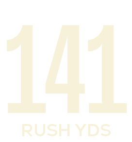 rush yds,14