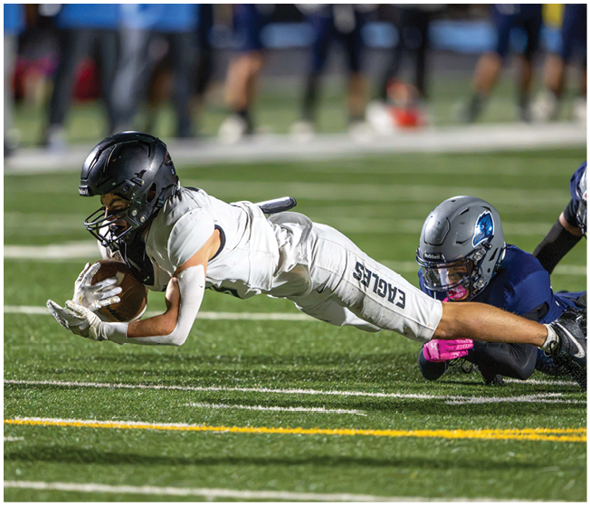 A person in a white football uniform is diving forward while holding a football as another person in a dark uniform reaches out to tackle them on a grassy field. Description generated by AI