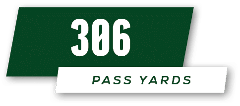 pass yards,30
