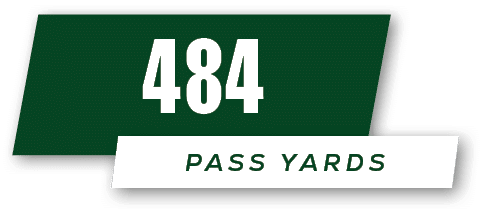 pass yards,48