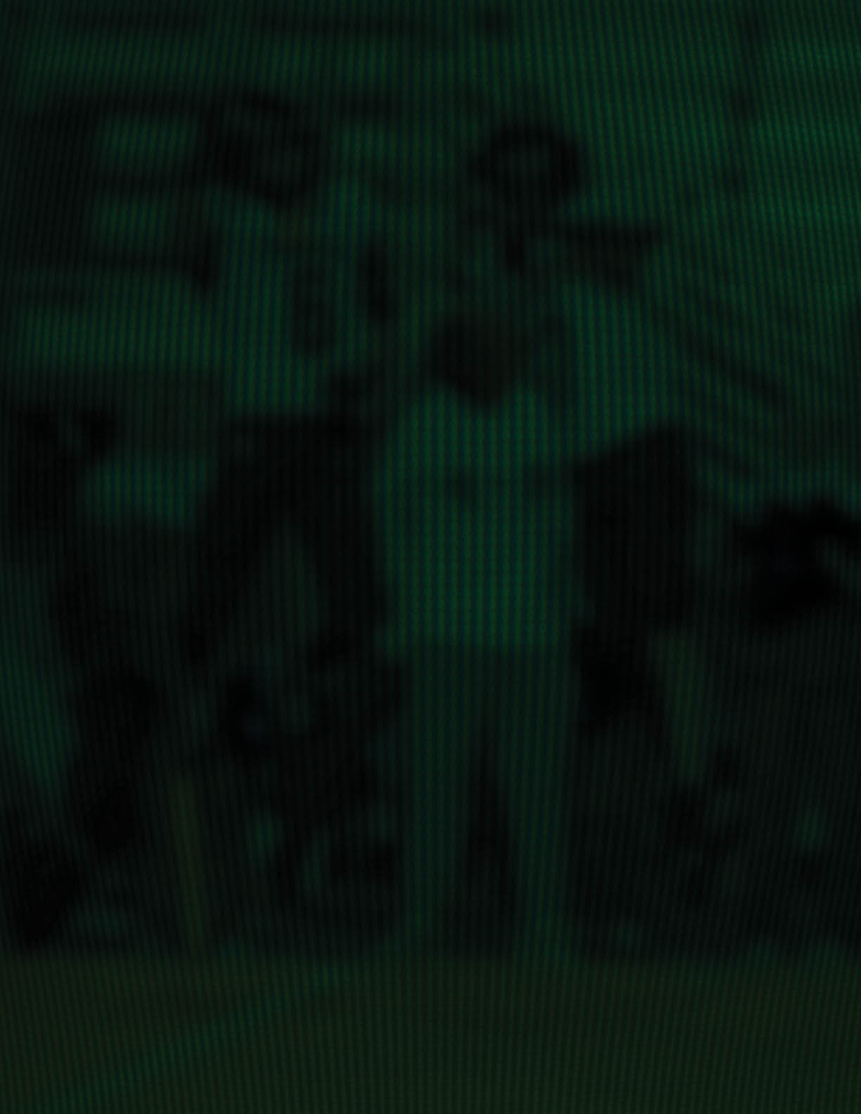 People standing outdoors in front of a large banner with text and graphics. Description generated by AI