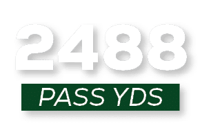 pass YDS,248