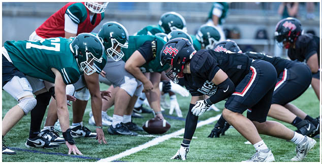 A group of football players in green and black uniforms are lined up on the field. Description generated by AI