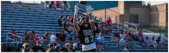 A football player catching a ball in a stadium. Description generated by AI
