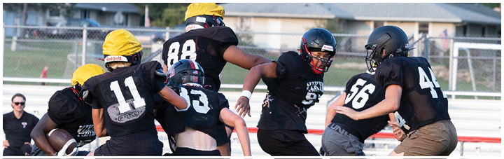 A group of football players wearing black and yellow jerseys. Description generated by AI