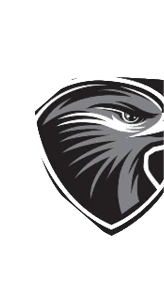 A black and white eagle head. Description generated by AI