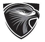 A black and white eagle head. Description generated by AI