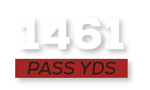 pass YDS,146
