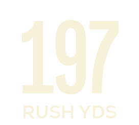rush yds,19