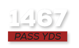 pass YDS,146