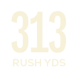 rush yds,31