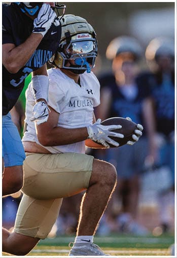 A person wearing a football helmet and uniform is kneeling on one knee while holding a football during a game. Description generated by AI