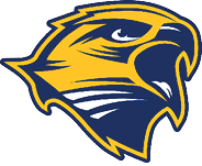 A stylized graphic of a fierce hawk head in yellow and dark blue colors. Description generated by AI