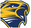 A stylized graphic of a fierce hawk head in yellow and dark blue colors with sharp lines and an open beak. Description generated by AI