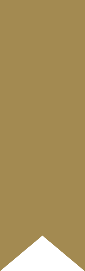A football player named Irncio wears a jersey with the number 86. AI generated content