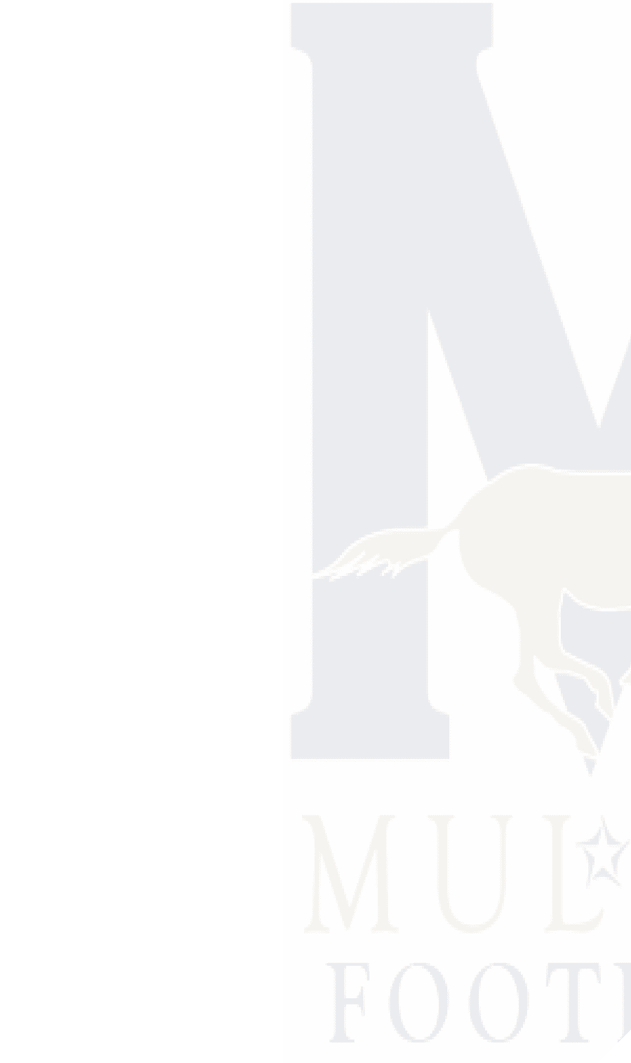 A logo for Dons football. Description generated by AI