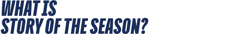 What is Story of the Season?