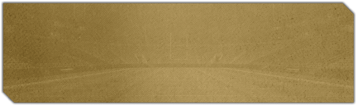 A stadium with a field and a few people in the stands. Description generated by AI