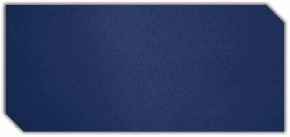 A blue background with no visible objects. Description generated by AI