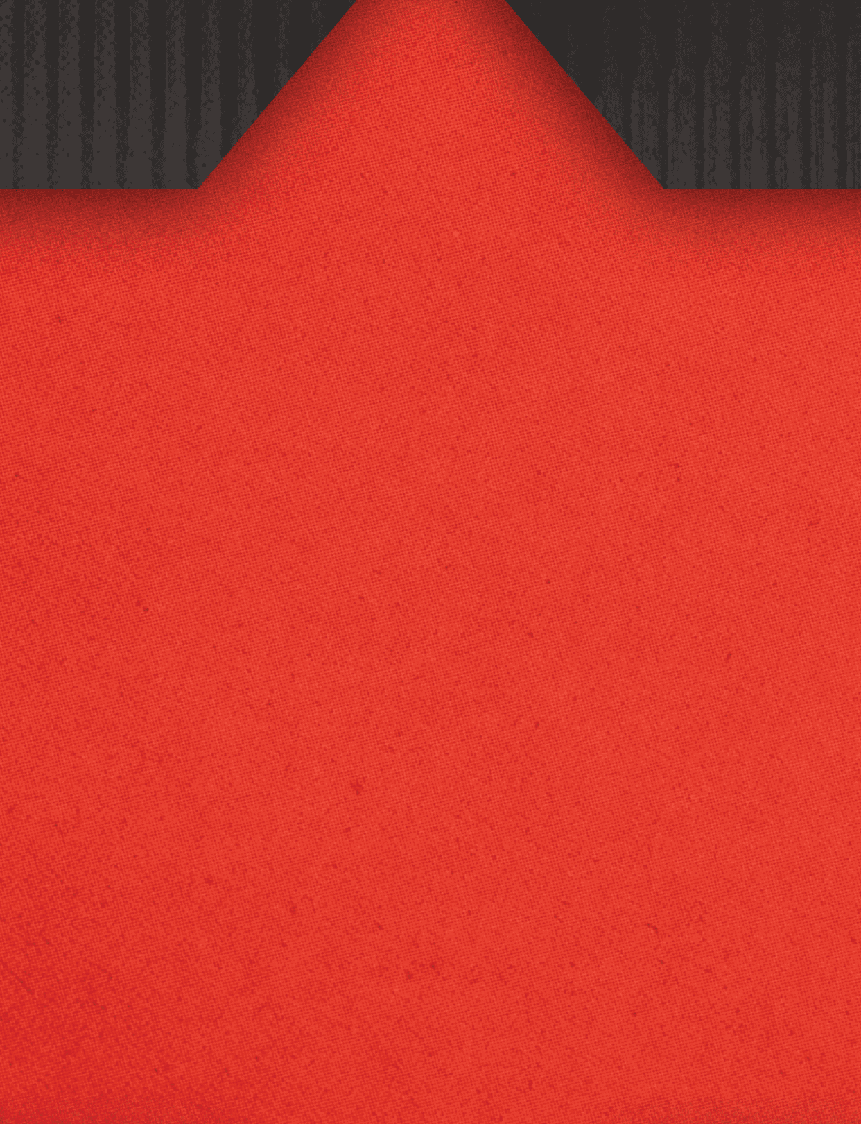A red and blue striped cloth with a red background. Description generated by AI
