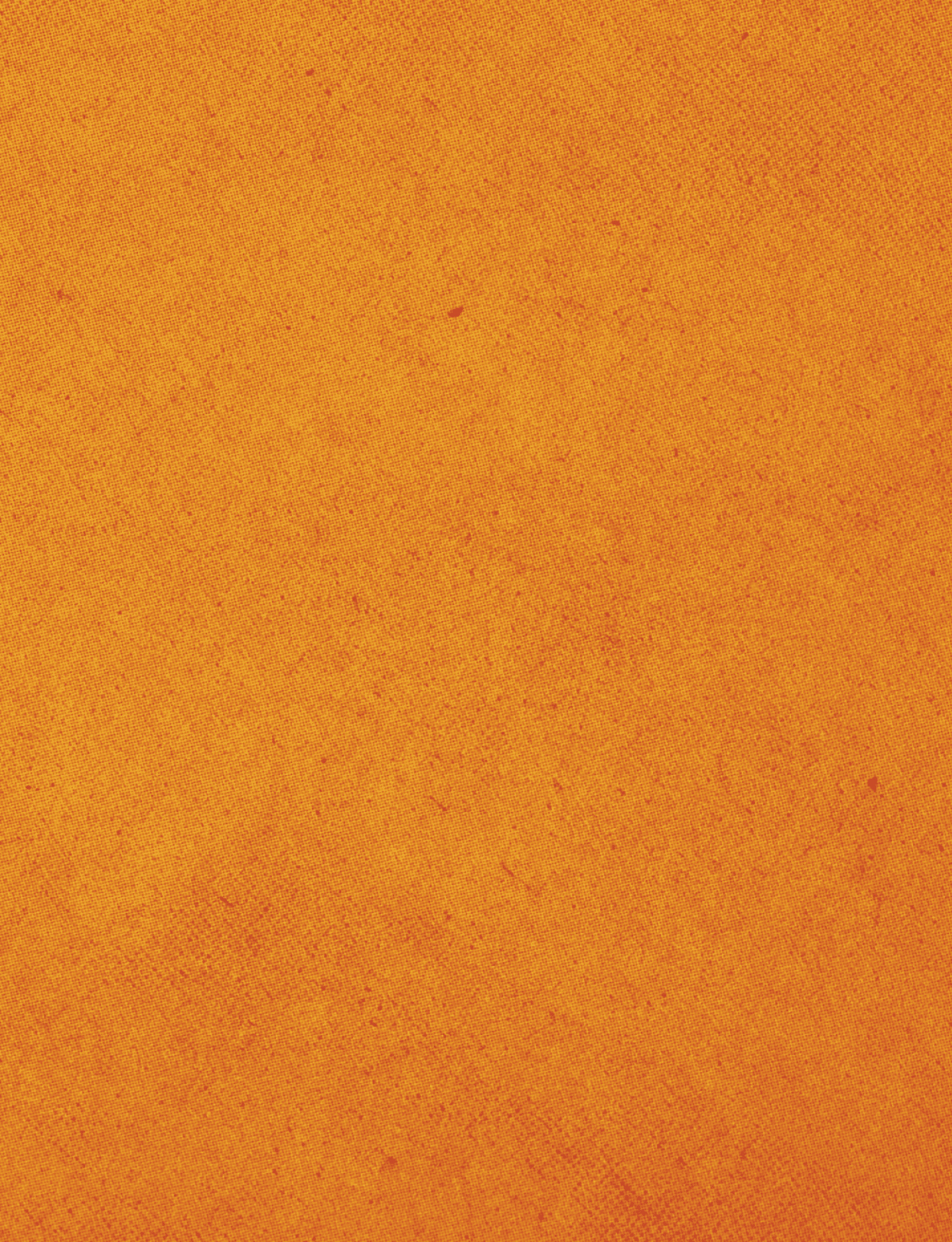 A red cloth with a red border. Description generated by AI