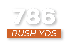 RUSH YDS,78