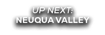 UP NEXT: NEUQUA VALLEY