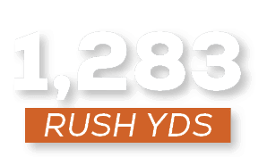 RUSH YDS,1,28