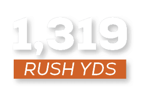 RUSH YDS,1,31