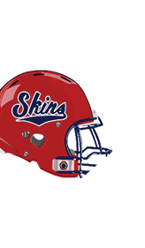 A blue and red logo of a lion. Description generated by AI