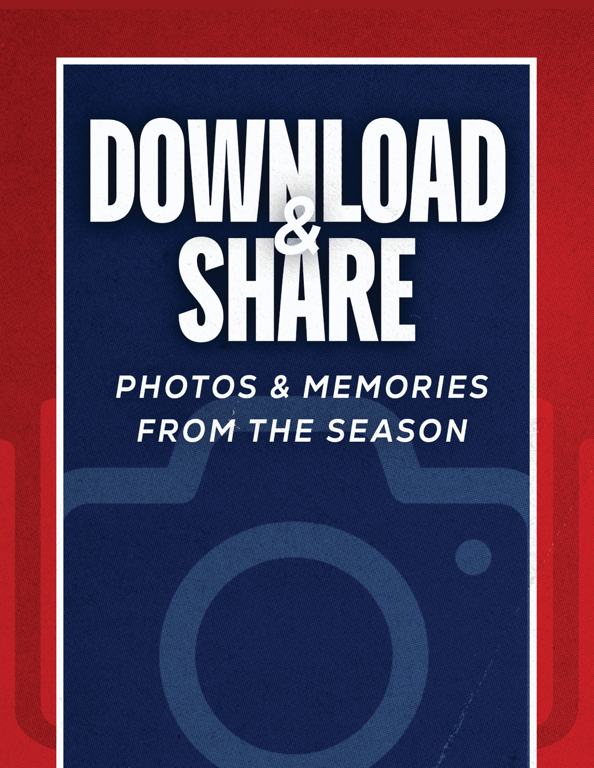 A red and blue poster with a camera on it. Description generated by AI