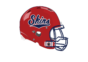 A blue and red logo of a lion. Description generated by AI