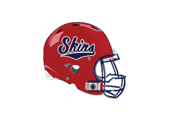 A blue and red logo of a lion. Description generated by AI