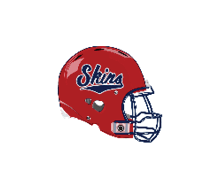 A blue and red logo of a lion. Description generated by AI