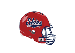 A blue and red logo of a lion. Description generated by AI
