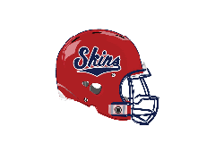A blue and red logo of a lion. Description generated by AI