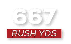 RUSH YDS,66