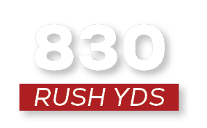 RUSH YDS,83