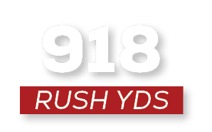 RUSH YDS,91