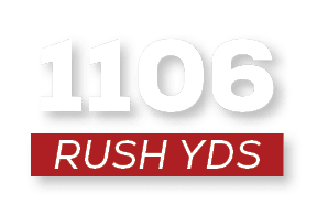 RUSH YDS,110