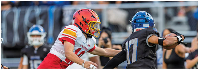A football player in a red jersey running on the field. Description generated by AI