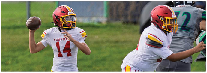 A football player wearing a red and yellow jersey. Description generated by AI